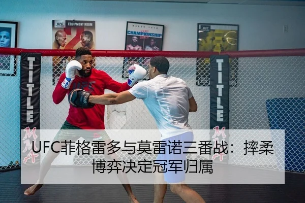fei-ge-lei-duo-yu-mo-lei-nuo-san-fan-zhan-shuai-rou-bo-yi-jue-ding-guan-jun-gui-shu-3-896.jpg