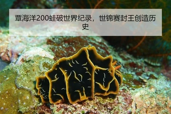 覃海洋200蛙破世界纪录，世锦赛封王创造历史
