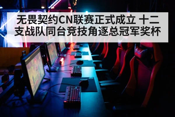 无畏契约CN联赛正式成立 十二支战队同台竞技角逐总冠军奖杯